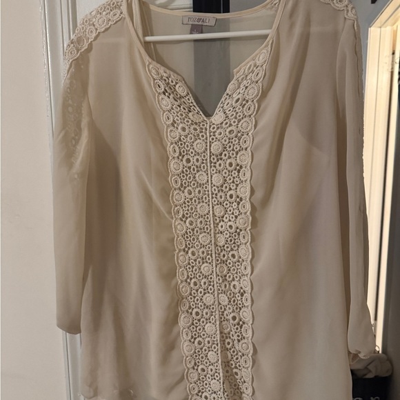 Roz & Ali Tops - Roz and Ali Elegant sheerCream Blouse with Lace Detailing and matching camisole